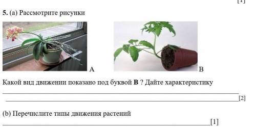 5. (а) Рассмотрите рисунки А В Какой вид движении показано под буквой В ? Дайте характеристику [2](