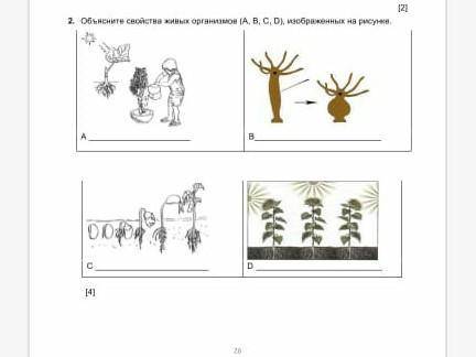 2 объясните своиства животных организмов а б с д изображеных на рисунках ​ сросно надо