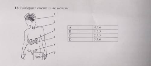 Выберите смешанные железы ​