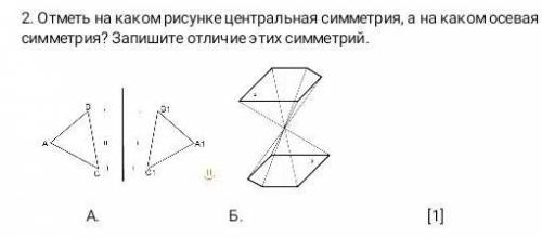 Отметьте на какого рисунки центральный симметрия на каком осевая симметрия запишите отличие симемтры