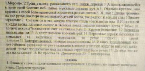 выписать слова с пропущенными орфограммами. Объяснить по правилу написания слова. привести примеры.(