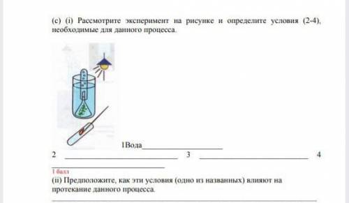 с естествознаниембез спама, бан дам​