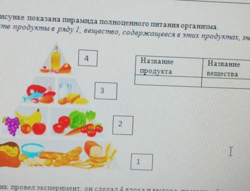 3. На рисунке показана трамида полноценного питання организма. Назовите продукты в ряду 1, названиеп