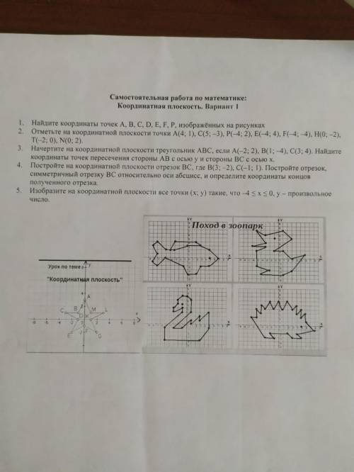 самостоятельная работа по математике: координатная плоскость.вариант токо норм ответ