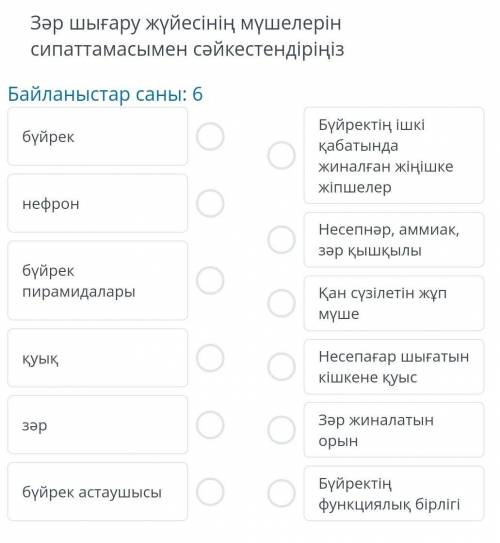 Зар шгару жуйесынын мушелерын сиппатамасымен сәйкестендір​