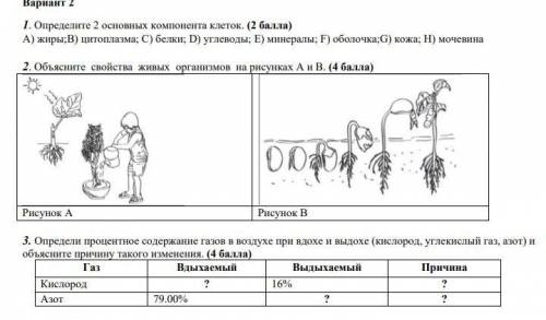 3 и у меня соч по естествознанию