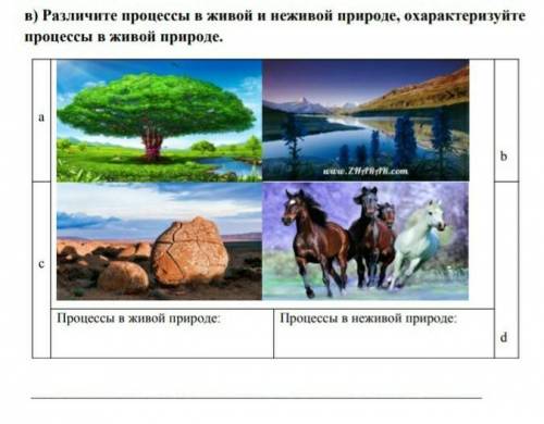 ЗА СПАМ БАН Различите процессы в живой и неживой природе,охарактеризуйте процессы в живой природе.​