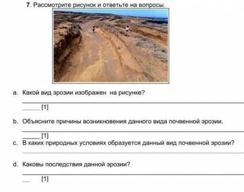 Рассмотрите рисунок и ответьте на вопросы. a. Какой вид эрозии изображен на рисунке? [1]b. Объясните