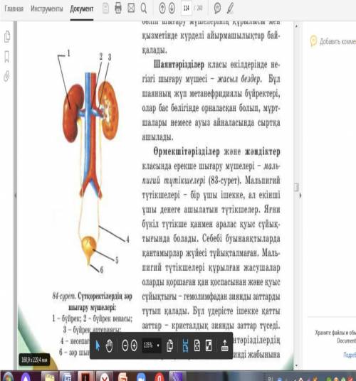 Начальные и конечные продукты фотосинтеза это - ​ ​ 2.Рассмотрите рисунок. (а) Выделительная система