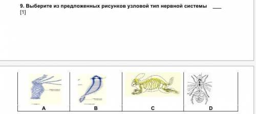 9. Выберите из предложенных рисунков узловой тип нервной системы ___ [1] А В С D​