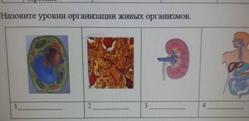 2. Назовите уровни организации живых организмов. 34.23.1определите процесс в котором организмы испол