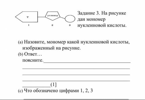 На рисунке дан мономер нуклеиновой кислоты. (a) Назовите, мономер какой нуклеиновой кислоты, изображ