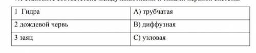 Устоновите соответствие между отделами центральной нервной ​