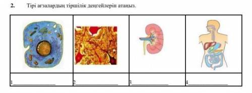 Комектесиниздерши сосын беремин​