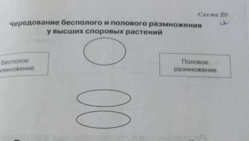 Чередование полового и бесполого размножения у высших половых растений таблица​