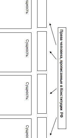 Права и свободы человека и гражданина Российской Федерации Написать вид, какие относятся + пример​