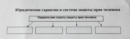 с обществом юридические гарантии защиты прав человека​