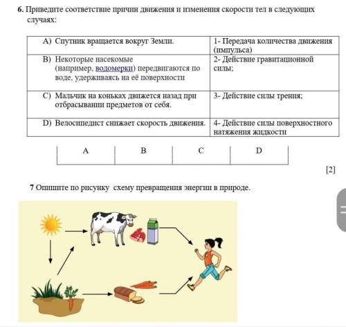 ДАМ ЛУЧШИЙ ОТВЕТ ОТВЕТЬТЕ НА ВСЕ ЗАДАНИЯ СОЧ​