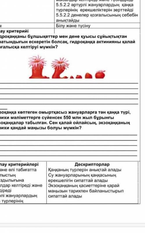 Мәтінді оқып, олардың тақырыбы мен құрылымын салыстырыңыз. [8] А мәтіні Достығымыз әлемге әйгілі Қаз