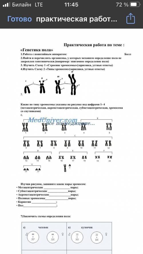 Проверочная работа по теме генетика пола.Кроме 1,3,4