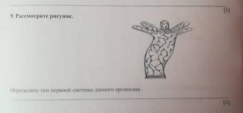 Рассмотри рисунок определите типы нервной системы данного организма соч рншить​