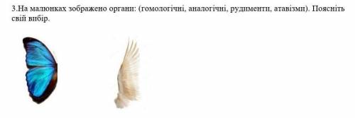 . На малюнках зображено органи: (гомологічні, аналогічні, рудименти, атавізми). Поясніть свій вибір.