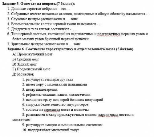 Задание 1. Определите, верны ли следующие утверждения( за каждое верное утверждение, всего ): 1. У р