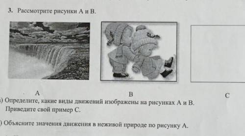 Расмотри рисунки A и B A. B. C Определите, какие виды движений изображенны на рисунках. A и B.Привед