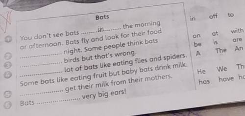 Bats You don't see bats the morningor afternoon. Bats fly and look for their foodnight. Some people