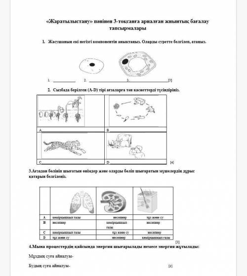 Тжб жарыталыстану помигите