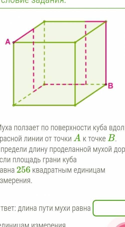 Муха ползает по поверхности куба вдоль красной линии от точки A к точке B. Определи длину проделанно