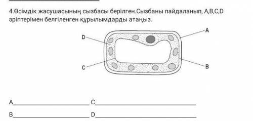 Я не могу понять это задание ...я буду очень благодарна​