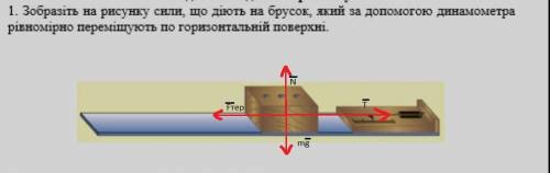 назвіть всі сили які діють на брусок (деревяний)