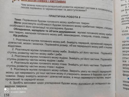 Практична робота номер 6 з біології 7 клас