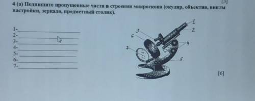 [3] 4 (а) Подпишите пропущенные части в строении микроскопа (окуляр, объектив, винтынастройки, зерка