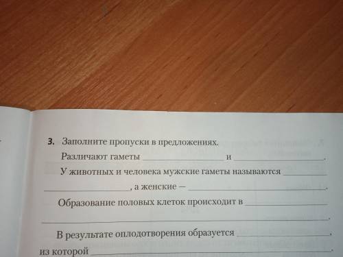 Заполните пропуски в предложениях: