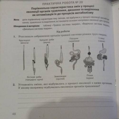 Практична робота еволюція травлення