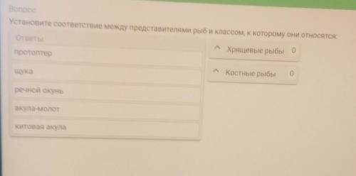 Установите соответствие между представителями рыб и классом, к которому они относятся:ПротоптерЩука