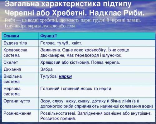 Характерні ознаки представників надкласу Риби