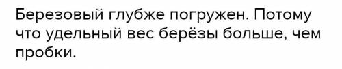 Березовый и пробковый бруски равного объема плавают на воде. Какой из них глубже погружен в воду?