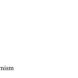 1. Name of the city, location, how to get there, neighbouring countries 2. Religion and culture (ind