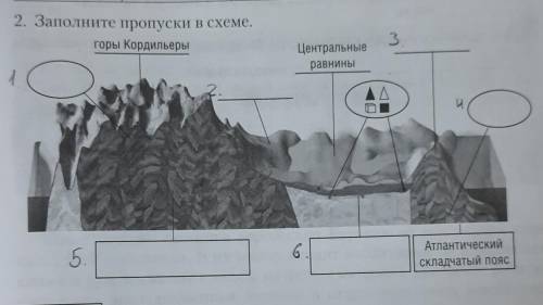 Заполните пропуски в схеме,все пронумеровала,просто впишите нужное слово и все ​