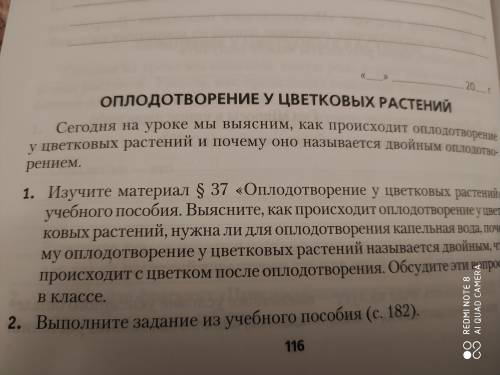 Оплодотворение у цветковых растений Рабочая тетрадь Н.Д. Лисов