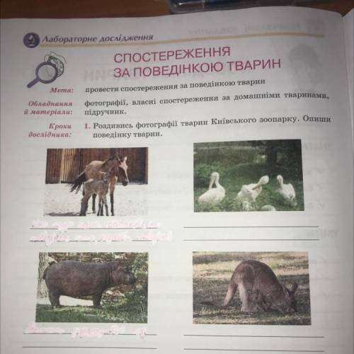 Роздивися фотографії тварин Київського зоопарку. Опиши поведінку тварин ів