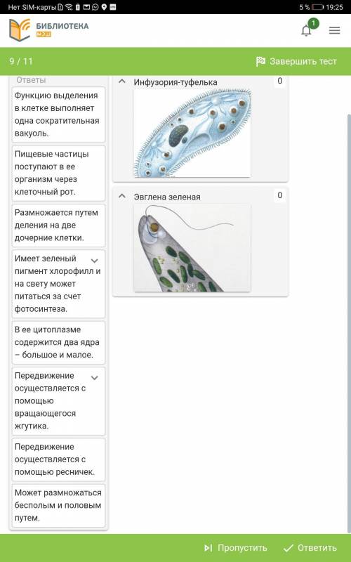 распределить характерные признаки простейших