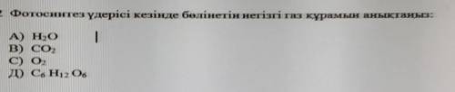 2 Фотосинтез үдерісі кезінде бөлінетін негізгі газ құрамын анықтаңыз: |A) H2OВ) СО,C) 0,Д) С6Н12О6​