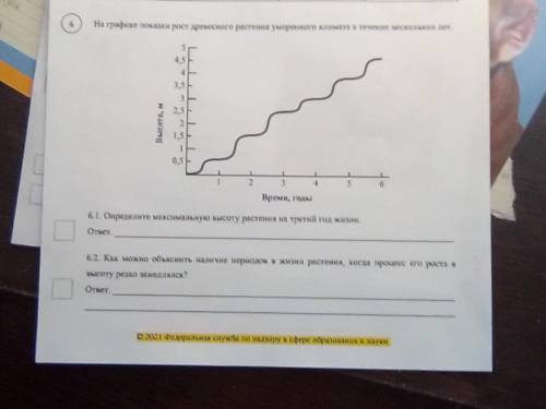 На графике показан рост древесного растения умеренного климата в течение нескольких лет.