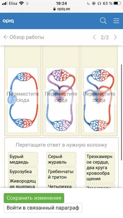 Определи тип кровообращения и перетащи к каждому типу соответствующий признак. Распредели названия ж