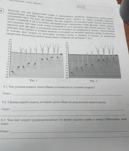 Известно, что для прорастания семян и дальнейшего развития проростков необходимы КОДопределённые усл