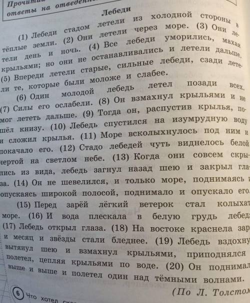 Что хотел сказать автор читателю определи и запиши основную мысль текста